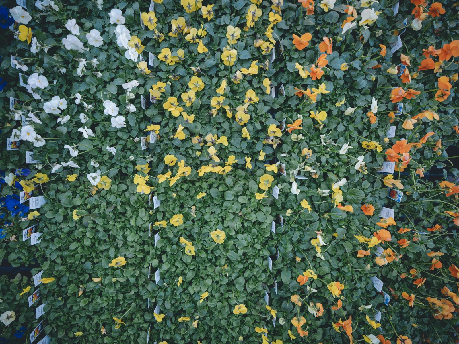 (PP) Service Page - Section 3 - RHP04511