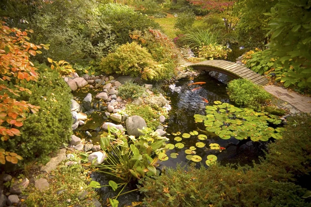 (PP) Service Page - Section 5 - water feature maintenance services