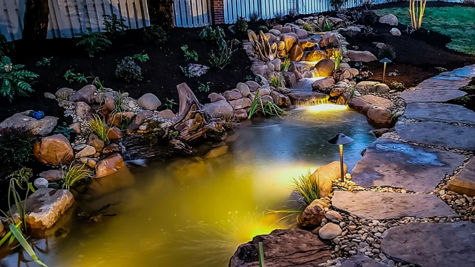 Pond Landscaping