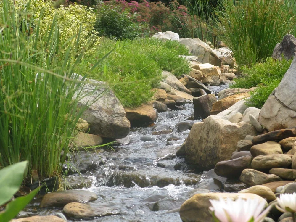 Pondless - Section 4 - Cost - pond repairs near me