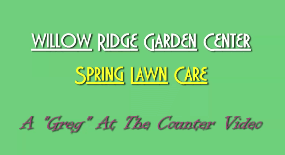 Spring Lawn Care