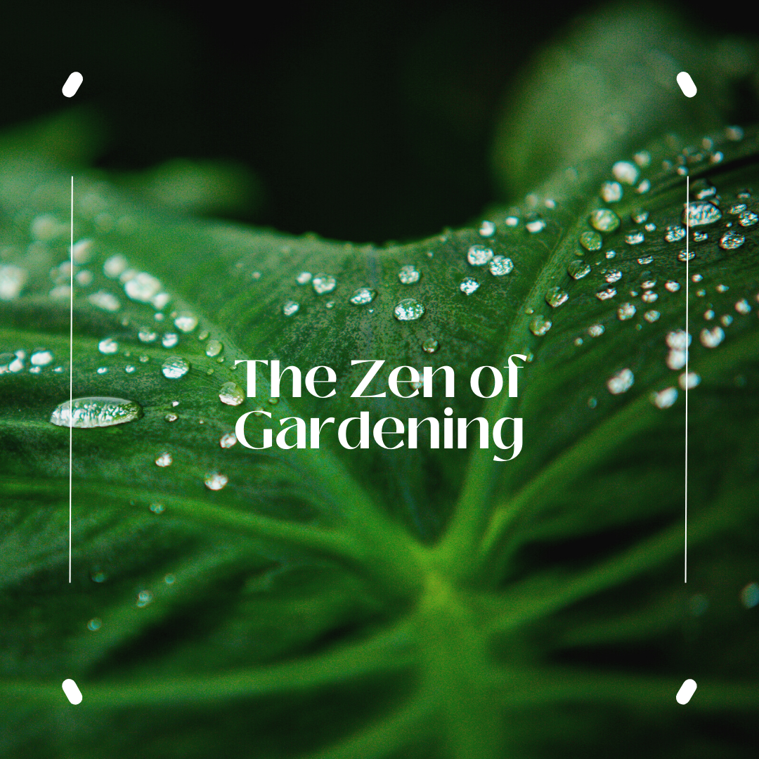 The-Zen-of-Gardening
