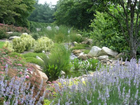 Traditional Style Landscaping Project with Koi Pond & Stream in Knoxville, Tennessee