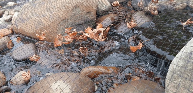 Winter Pond Maintenance