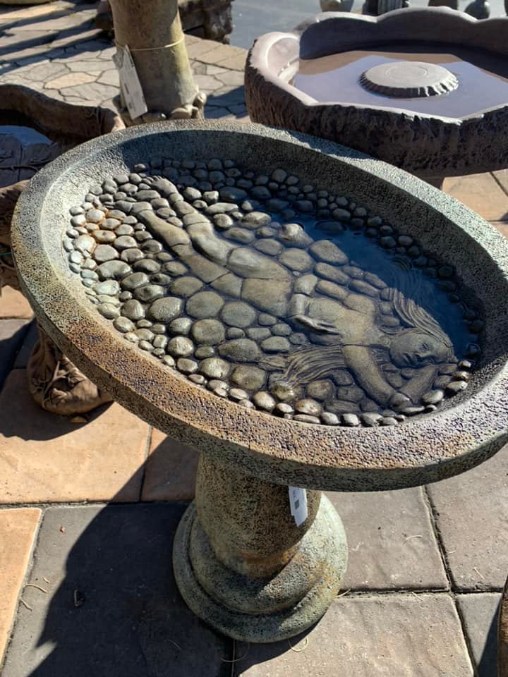 birdbath in the sun