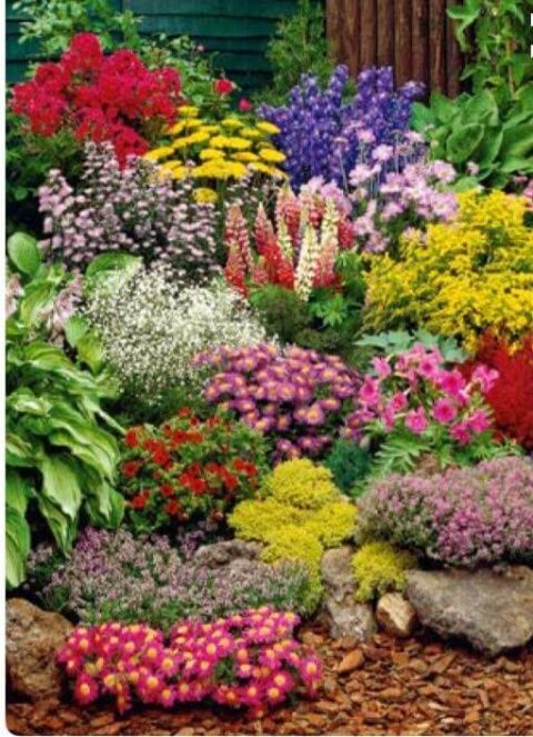 flower variations pretty