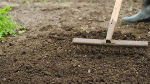 Soil,Preparation,Farming,,Garden,Rake,Tilling,,Soil,Quality,Improvement,,Farmland