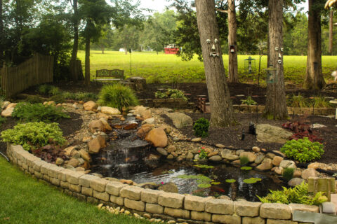 landscaped residential backyard