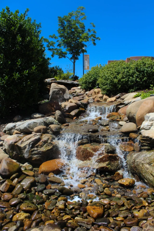 Natural Water Falls Landscaping